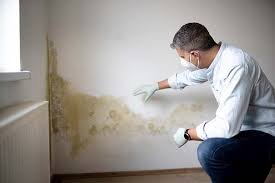 Mold Removal for HVAC Installations in Cheval, FL